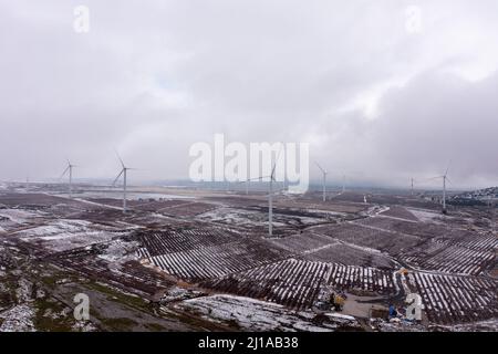 Windturbine in einer verschneiten Landschaft mit frühem Morgennebel im Winter. Stockfoto