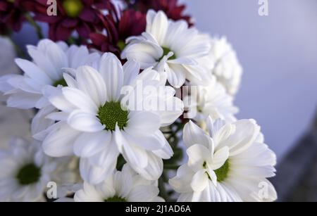 Blumensträuße von abwechslungsreichen Blumen Feier und Veranstaltung, Natur Stockfoto