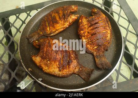 Karimeen Fry Stockbilder Stockfoto