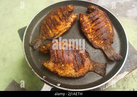 Karimeen Fry Stockbilder Stockfoto