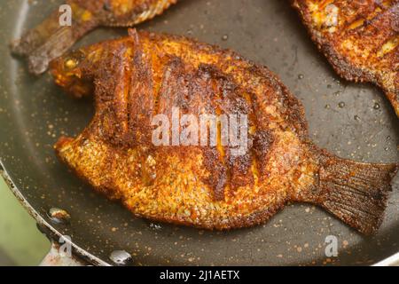 Karimeen Fry Stockbilder Stockfoto