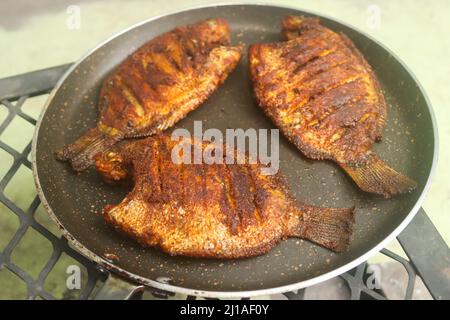 Karimeen Fry Stockbilder Stockfoto