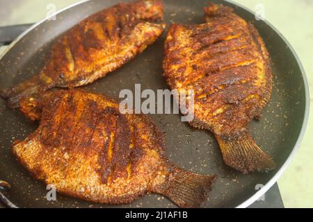 Karimeen Fry Stockbilder Stockfoto