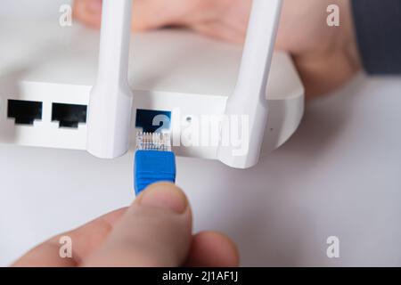 Der Assistent führt das Internetkabel in den Wi-Fi-Router ein. Internetverbindung Stockfoto