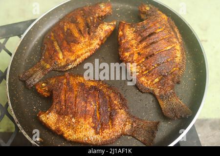 Karimeen Fry Stockbilder Stockfoto