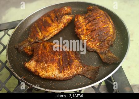 Karimeen Fry Stockbilder Stockfoto