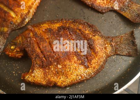 Karimeen Fry Stockbilder Stockfoto