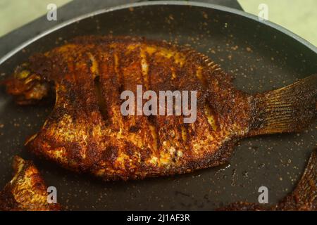 Karimeen Fry Stockbilder Stockfoto