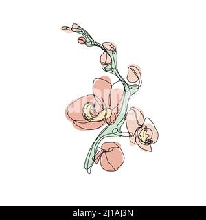 Eine einzeilige Zeichnung von Orchideenblüten und pastellneutralen Formen Stock Vektor