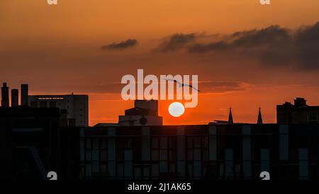 Eine dramatische Sommer orange Sonnenuntergang über Dächer in Leith, Edinburgh, Schottland, Großbritannien Stockfoto