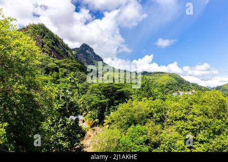 Berglandschaft der Mahe Island, Seychellen, mit üppiger tropischer Vegetation, Regenwald, Palmen und Morne Blanc felsigen Gipfel in der Ferne. Stockfoto