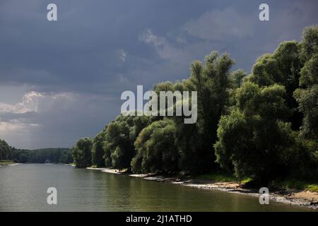 Biosphärenreservat Donaudelta, bei Tulcea, Rumänien / Biosphärenreservat Donaudelta, bei Tulcea, Rumänien (Aufnahmedatum kann abweichen) Stockfoto