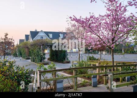 Bicester Village, Einkaufszentrum, am frühen Morgen, Outlet Einkaufszentrum, Oxfordshire, Bicester, kurz vor Sonnenaufgang, Geschäfte, Bicester Village Outlet Shopping CE Stockfoto