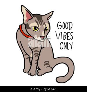 Tabby Katze gute Vibes nur Cartoon-Vektor-Illustration Stock Vektor
