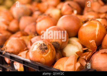 Zwiebel in Korbkörben auf der Markttheke Stockfoto