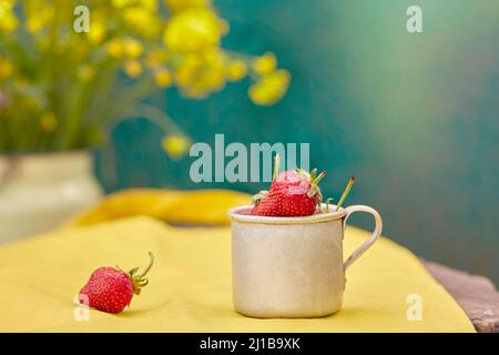 Frische Erdbeeren in einem Reisetasse aus Metall-Aluminium auf einem Holzstumpf. Grüner und gelber Frühlingshintergrund. Cottagecore Ästhetik Konzept, trendige Schatten Stockfoto