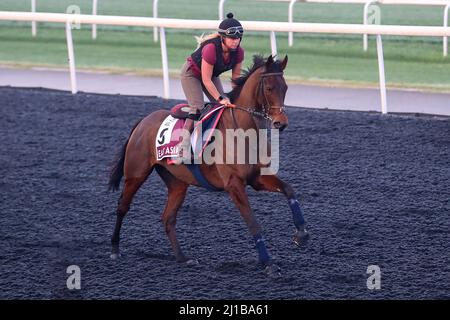 Dubai, USA. 22. März 2022. 23. März 2022: Ostasien übt sich in Vorbereitung auf den Dubai Gold Cup auf der Meydan Racecourse in Meydan, Dubai, Vereinigte Arabische Emirate, am 23.. März 2022. Shamela Hanley/Eclipse Sportswire/CSM/Alamy Live News Stockfoto