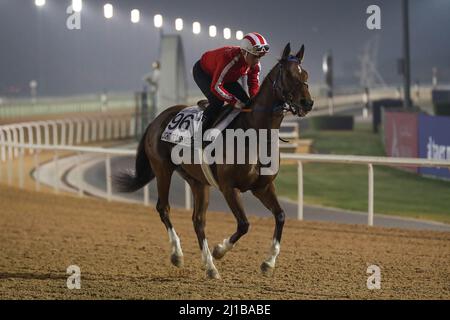 Dubai, USA. 22. März 2022. 23 2022. März: Licht der Dunkelheit trainiert zur Vorbereitung seines Rennens am Weltcuptag in Dubai auf der Meydan Racecourse am 23.. März 2022. Shamela Hanley/Eclipse Sportswire/CSM/Alamy Live News Stockfoto