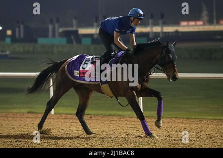 Dubai, USA. 22. März 2022. 23. März 2022: Verbrennung als Vorbereitung auf das UAE Derby auf der Meydan Racecourse in Meydan, Dubai, Vereinigte Arabische Emirate, am 23.. März 2022. Shamela Hanley/Eclipse Sportswire/CSM/Alamy Live News Stockfoto