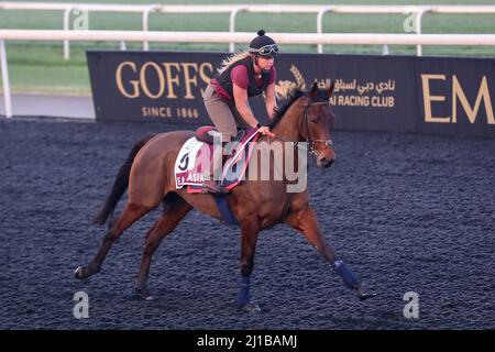 Dubai, USA. 22. März 2022. 23. März 2022: Ostasien übt sich in Vorbereitung auf den Dubai Gold Cup auf der Meydan Racecourse in Meydan, Dubai, Vereinigte Arabische Emirate, am 23.. März 2022. Shamela Hanley/Eclipse Sportswire/CSM/Alamy Live News Stockfoto