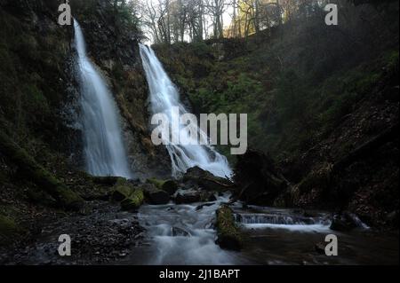 Gray Mare's Tail / Rhaeadr Y Parc Mawr. Stockfoto