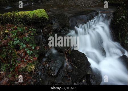 Nebenfluss der Afon Rhiwddolion. Stockfoto