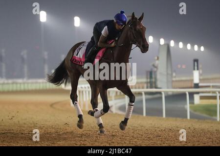 Dubai, USA. 22. März 2022. 23. März 2022: Irwin bereitet sich auf das UAE Derby auf der Meydan Racecourse in Meydan, Dubai, Vereinigte Arabische Emirate, am 23.. März 2022 vor. Shamela Hanley/Eclipse Sportswire/CSM/Alamy Live News Stockfoto