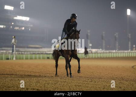 Dubai, USA. 22. März 2022. 23. März 2022: Schnell Meister trainiert zur Vorbereitung auf den Dubai Turf auf der Meydan Racecourse in Meydan, Dubai, Vereinigte Arabische Emirate am 23.. März 2022. Shamela Hanley/Eclipse Sportswire/CSM/Alamy Live News Stockfoto