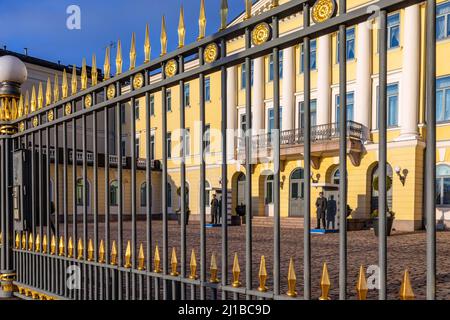 ZAUN UND REPUBLIKANISCHE WACHEN VOR DER FASSADE DES PRÄSIDENTENPALASTES, HELSINKI, FINNLAND, EUROPA Stockfoto