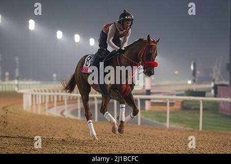 Dubai, USA. 22. März 2022. 23. März 2022: Keifer trainiert zur Vorbereitung auf das UAE Derby auf der Meydan Racecourse in Meydan, Dubai, Vereinigte Arabische Emirate, am 23.. März 2022. Shamela Hanley/Eclipse Sportswire/CSM/Alamy Live News Stockfoto