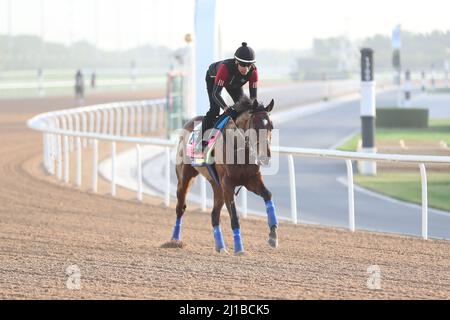 Dubai, Vereinigte Arabische Emirate. 24. März 2022. 24. März 2022: Pinehurst-Übungen zur Vorbereitung auf das UAE Derby auf der Meydan Racecourse in Meydan, Dubai, Vereinigte Arabische Emirate, am 24.. März 2022. Shamela Hanley/Eclipse Sportswire/CSM/Alamy Live News Stockfoto