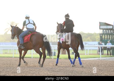 Dubai, Vereinigte Arabische Emirate. 24. März 2022. 24. März 2022: Pinehurst-Übungen zur Vorbereitung auf das UAE Derby auf der Meydan Racecourse in Meydan, Dubai, Vereinigte Arabische Emirate, am 24.. März 2022. Shamela Hanley/Eclipse Sportswire/CSM/Alamy Live News Stockfoto