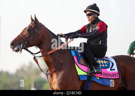 Dubai, Vereinigte Arabische Emirate. 24. März 2022. 24. März 2022: Pinehurst-Übungen zur Vorbereitung auf das UAE Derby auf der Meydan Racecourse in Meydan, Dubai, Vereinigte Arabische Emirate, am 24.. März 2022. Shamela Hanley/Eclipse Sportswire/CSM/Alamy Live News Stockfoto