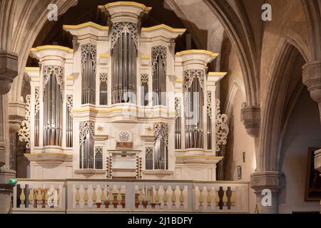 BACH-ORGEL, KIRCHE SAINT-MICHEL, PONTAUMUR, COMBRAILLES, (63) PUY DE DOME, AUVERGNE Stockfoto