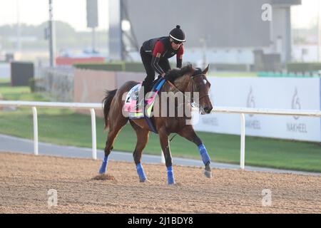 Dubai, Vereinigte Arabische Emirate. 24. März 2022. 24. März 2022: Pinehurst-Übungen zur Vorbereitung auf das UAE Derby auf der Meydan Racecourse in Meydan, Dubai, Vereinigte Arabische Emirate, am 24.. März 2022. Shamela Hanley/Eclipse Sportswire/CSM/Alamy Live News Stockfoto