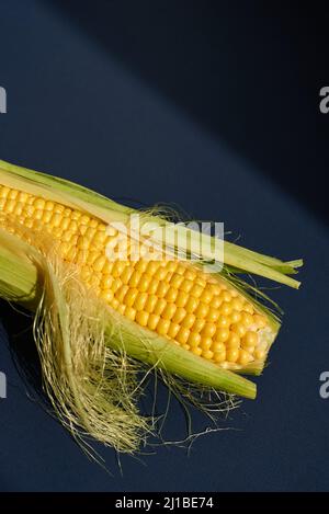 Eine grüne Ähre aus Mais. Saftiger Mais einer neuen Ernte. Nahaufnahme. Blauer Hintergrund. Stockfoto