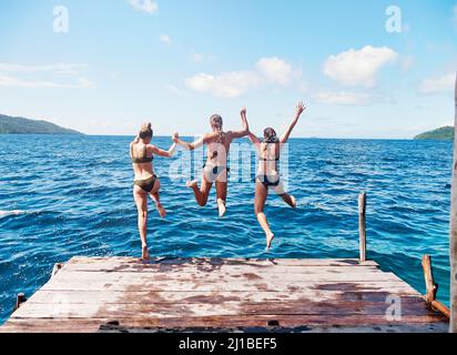 Lasst den Sommerwahnsinn beginnen. Rückansicht einer Gruppe junger Frauen, die gemeinsam von einem Pier in den Ozean springen. Stockfoto