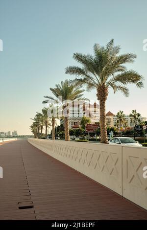 Palmen wachsen am Wasser auf der künstlichen Insel Palm Jumeirah in Dubai VAE. Ein Brett ist auf dem Damm gebrochen. Stockfoto