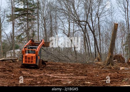 Baumstumpf Entfernung das Ausgraben von Stammwurzeln mit Mini-Bagger bei der Vorbereitung Land für die Unterbringung neuer Komplex Stockfoto