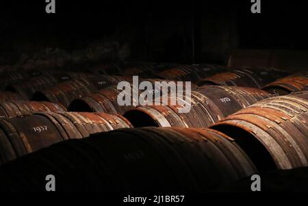 Cognac, Frankreich. 22. März 2022. Eichenfässer werden in einem Keller gelagert, in dem seltener und alter Cognac in der Hennessy-Fabrik in Cognac, Südwestfrankreich, gelagert wird, 22. März 2022. Cognac/Eau-de-vie de Cognac/Eau-de-vie des charentes ist im Abkommen zwischen China und der EU über geografische Angaben aufgeführt. Kredit: Gao Jing/Xinhua/Alamy Live Nachrichten Stockfoto