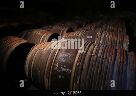 Cognac, Frankreich. 22. März 2022. Eichenfässer werden in einem Keller gelagert, in dem seltener und alter Cognac in der Hennessy-Fabrik in Cognac, Südwestfrankreich, gelagert wird, 22. März 2022. Cognac/Eau-de-vie de Cognac/Eau-de-vie des charentes ist im Abkommen zwischen China und der EU über geografische Angaben aufgeführt. Kredit: Gao Jing/Xinhua/Alamy Live Nachrichten Stockfoto