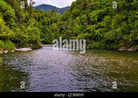 Der Otaki River fließt durch den dichten Regenwald des Tararua Forest Park, Kapiti Coast District, North Island, Neuseeland. Stockfoto