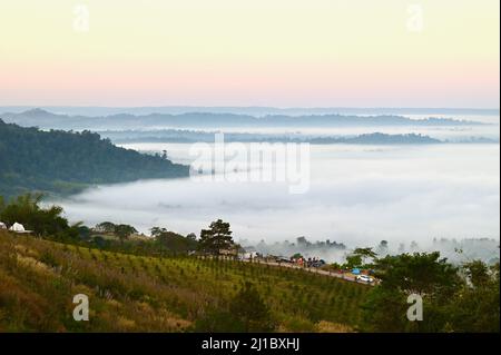 Morning Sea of Mist in Khao Kho in Phetchabun, Thailand Stockfoto