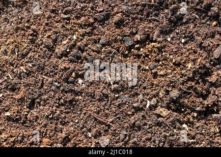 Frisch gesiebte Komposterde für den Garten Stockfoto