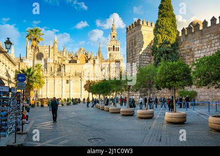 Die Kathedrale von Sevilla, der Giralda-Turm und die Mauern des Royal Alcazar im historischen Viertel Santa Cruz von Sevilla, Spanien. Stockfoto