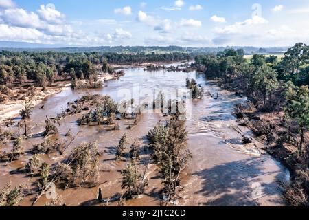Drohnenaufnahme von schweren Überschwemmungen im Nepean River in der Region Yarramundi in der Region Hawkesbury in New South Wales in Australien.