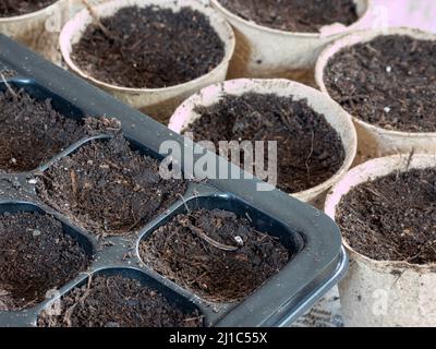 Aussaat Töpfe für Pflanzen im Frühjahr Stockfoto