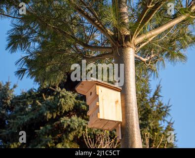 Nistkasten für Vögel auf einem Baum im Garten Stockfoto
