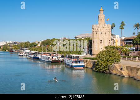 Der Guadalquivier-Fluss fließt durch das historische Zentrum von Sevilla, Spanien, mit Touristenbooten entlang des Torre del Oro-Turms. Stockfoto