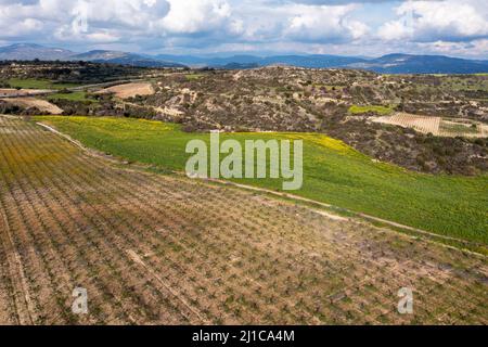 Luftaufnahme eines Weinbergs in der Nähe von Armageti, Region Pafos, Zypern. Stockfoto